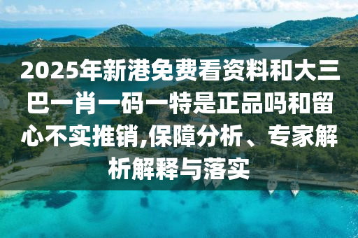 2025年新港免費看資料和大三巴一肖一碼一特是正品嗎和留心不實推銷,保障分析、專家解析解釋與落實