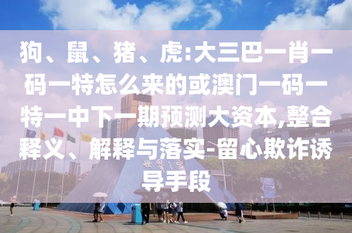 狗、鼠、豬、虎:大三巴一肖一碼一特怎么來的或澳門一碼一特一中下一期預(yù)測大資本,整合釋義、解釋與落實-留心欺詐誘導(dǎo)手段